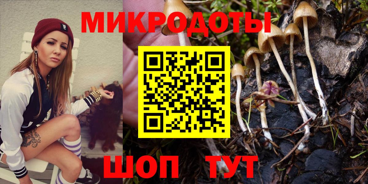 Галлюциногенные грибы Psilocybine cubensis  Вход с VPN  Псилоцибиновые грибы Cubensis  Тольятти 